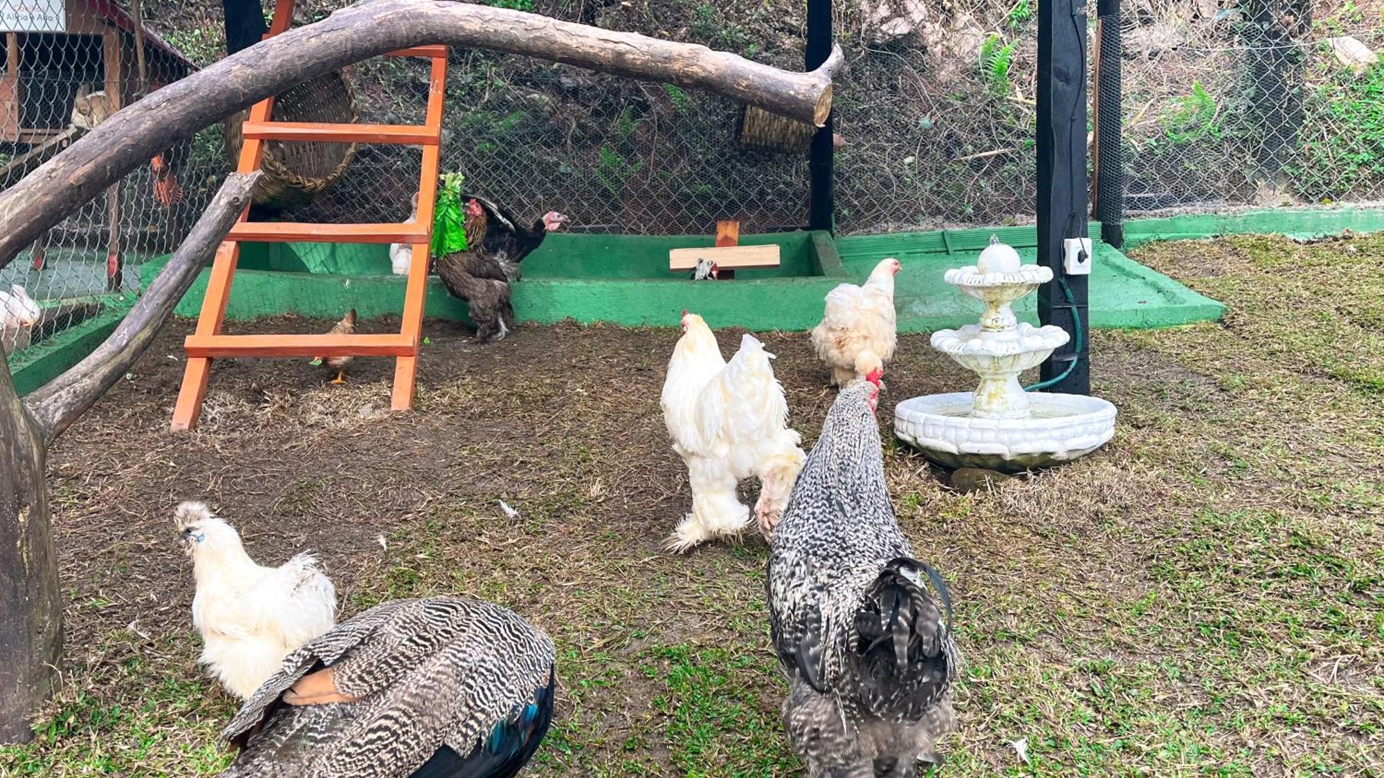 Hotel Fazenda Golden Park Campos do Jordão エクステリア 写真