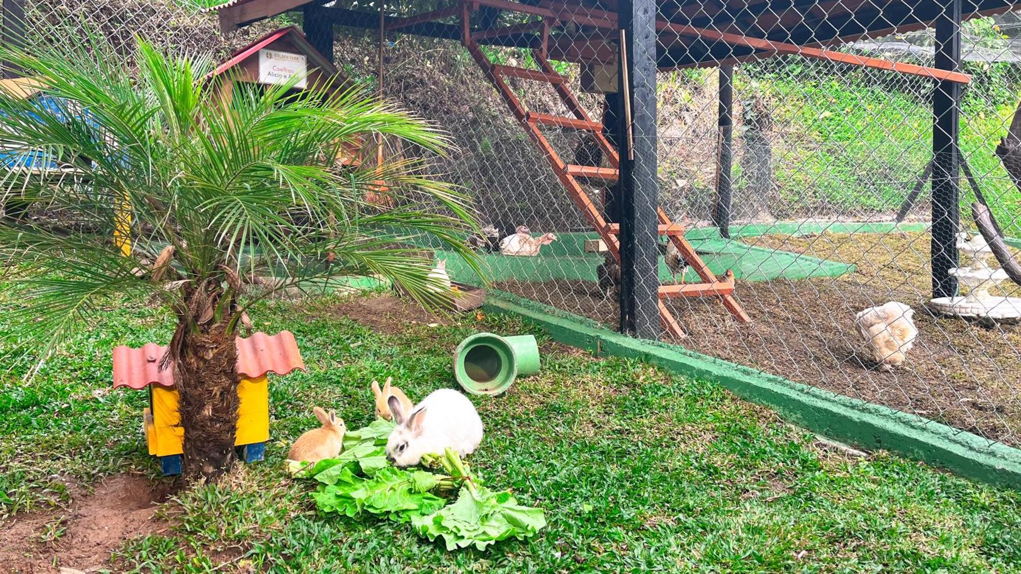 Hotel Fazenda Golden Park Campos do Jordão エクステリア 写真